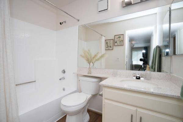 1BR/1BA Apartment · San Francisco photo 3