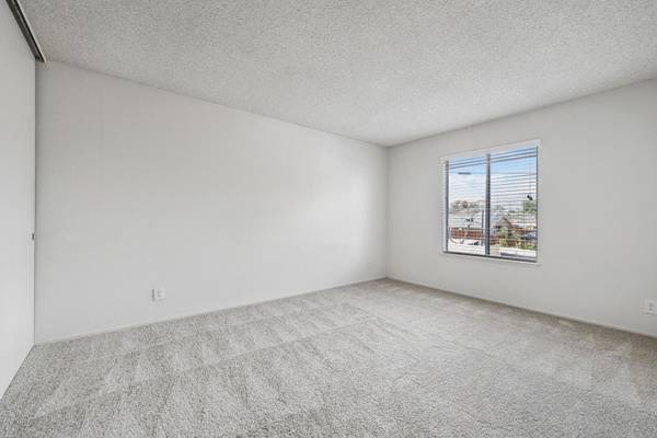 1BR/1BA Apartment · San Francisco photo 4