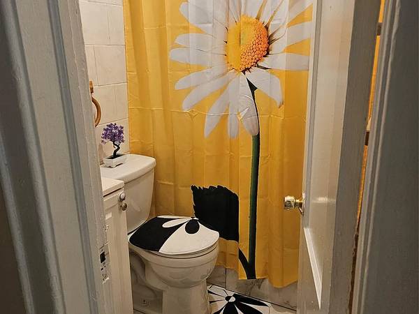 1BR/1BA In Law Adu on Arlington Terrace · Jamaica photo 4