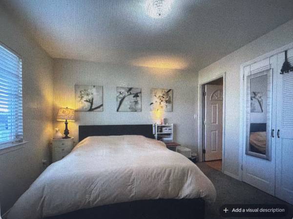 1BR Apartment · Pacifica photo 2