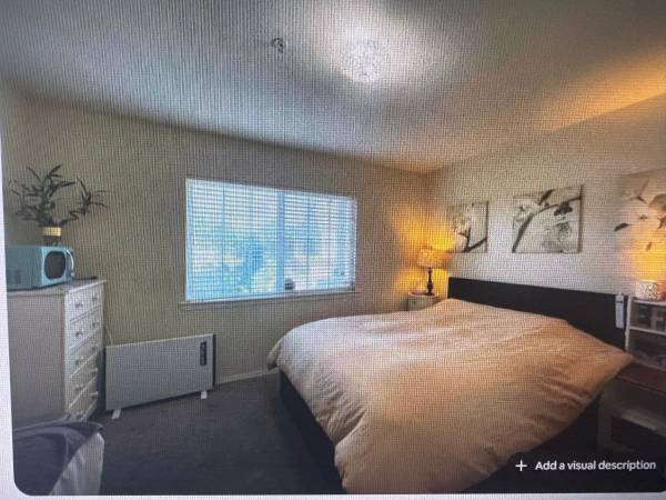 1BR Apartment · Pacifica photo 4