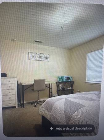 Bright 3-Bed Pacifica Gem with Private Backyard  Garage photo 5