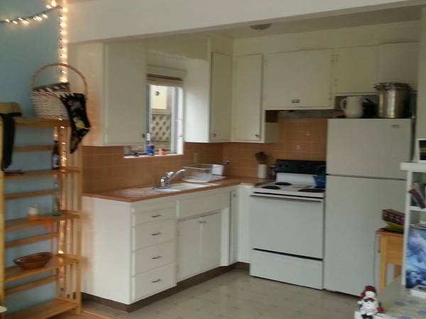 1BR/1BA Apartment · Santa Cruz photo 3