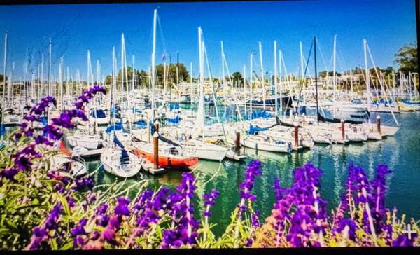 2BR/1BA Apartment · Santa Cruz photo 2