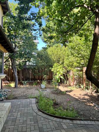 4BR/3BA Single Family House · Palo Alto photo 5
