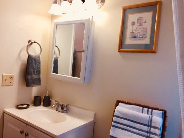 1BR/1BA Apartment · Felton photo 3