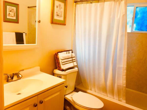1BR/1BA Apartment · Felton photo 4