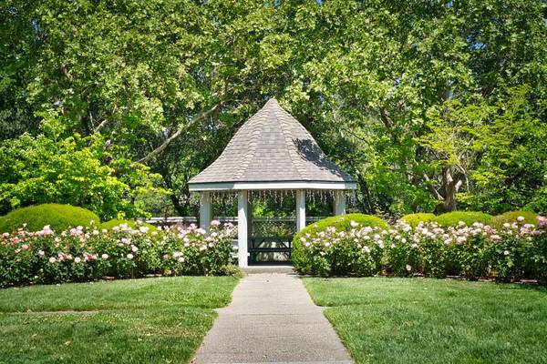 Houses on Soscol Avenue · Napa photo 4
