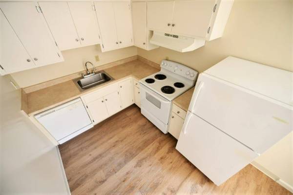 2514 College Avenue - Berkeley photo 5