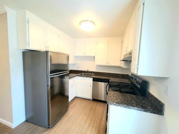 1BR/1BA Apartment · Mountain View photo 3