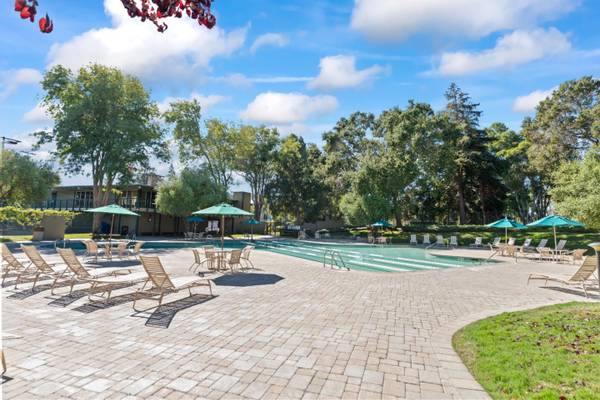 1BR/1BA Apartment on N Delaware St · San Mateo photo 4