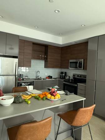 1BR/1BA Apartment · Berkeley photo 3