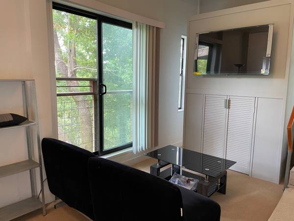 1BR/1BA Apartment · San Anselmo photo 4