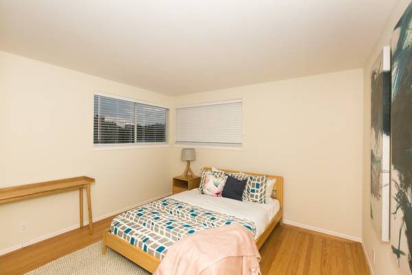 99 Lupine photo 5