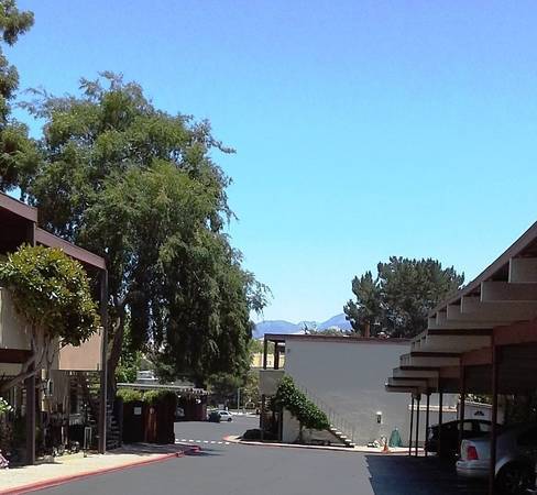 Birchwood Apartments photo 5