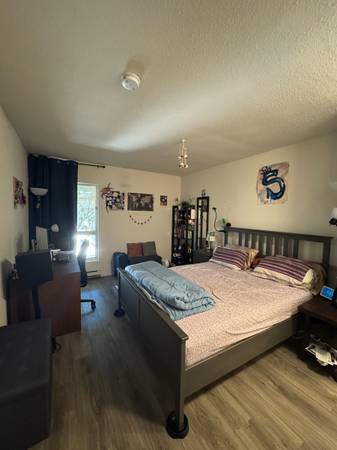1BR/1BA Apartment on West Middlefield Rd · Mountain View photo 3