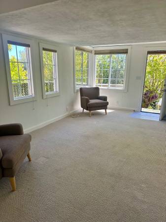 1BR/1BA Apartment · Mill Valley photo 3