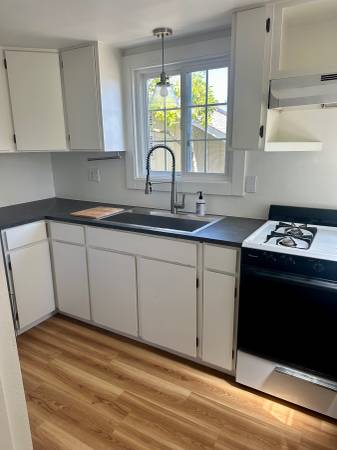 1BR/1BA Apartment · Mill Valley photo 5