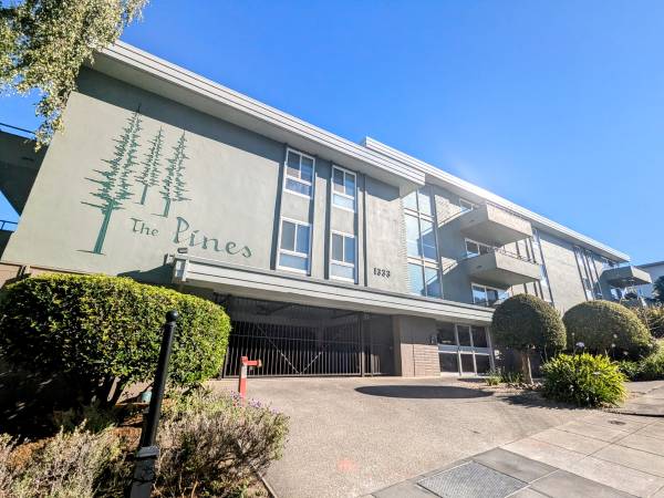 The Pines San Mateo photo 3