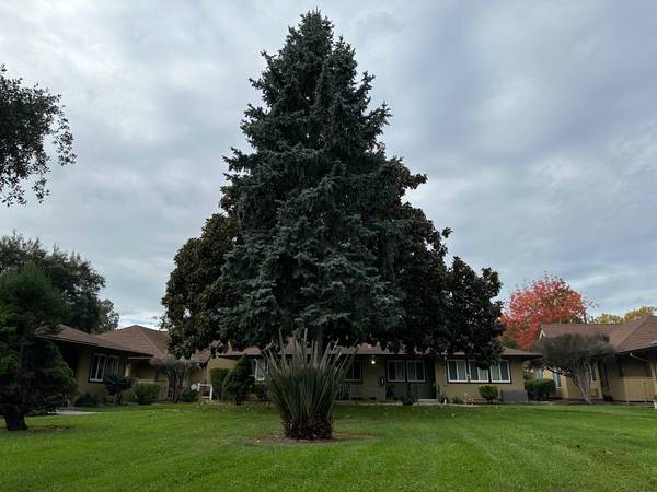 0BR/1BA Apartment on Fair Dr · Napa photo 5