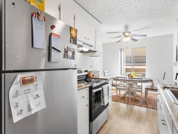 Warring Street Apartments photo 2