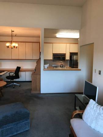 1BR/1BA Condo · Oakland photo 4
