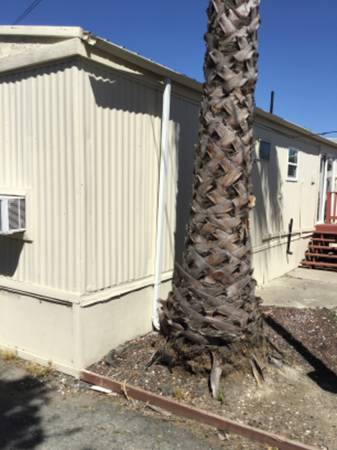 5625 Sandmound Boulevard, Oakley, CA 94561 photo 4