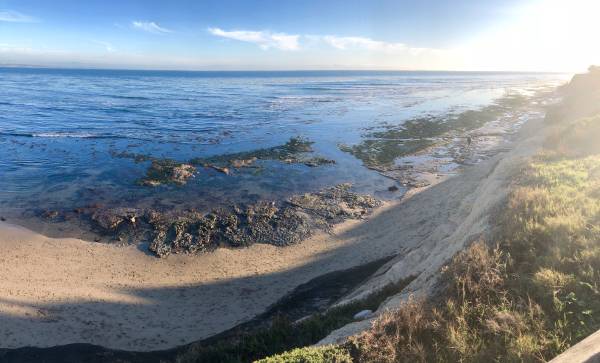 0BR/1BA Apartment · Santa Cruz photo 3