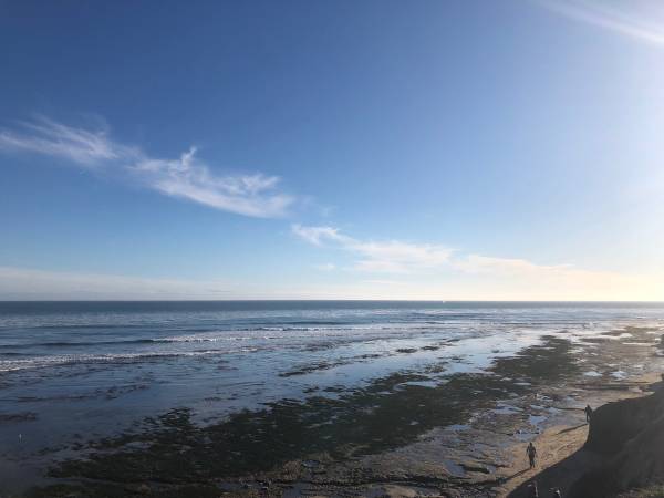 0BR/1BA Apartment · Santa Cruz photo 5