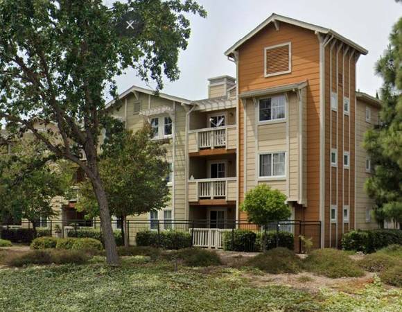 BRANHAM LANE APTS photo 4