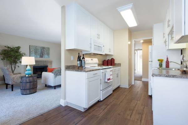 1BR/1BA Apartment · Hayward photo 4