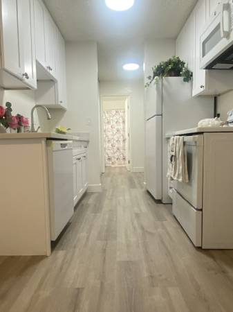 1BR/1BA Apartment · San Leandro photo 3