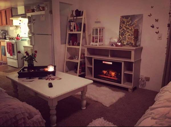 1BR/1BA Apartment · Felton photo 5