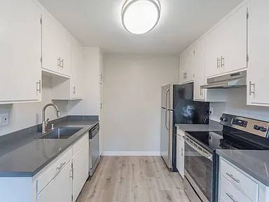 Element Apartment Homes photo 2
