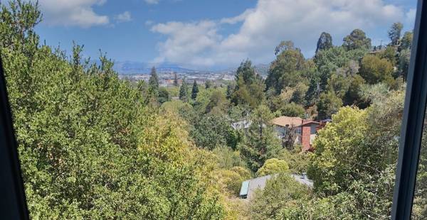 1BR/1BA In Law Adu · San Anselmo photo 2
