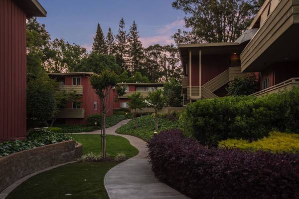 Bay Tree photo 2