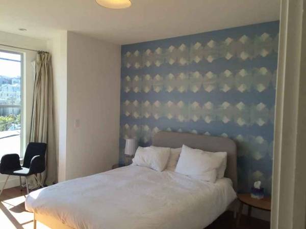2BR/2BA Apartment on De Haro St · San Francisco photo 3