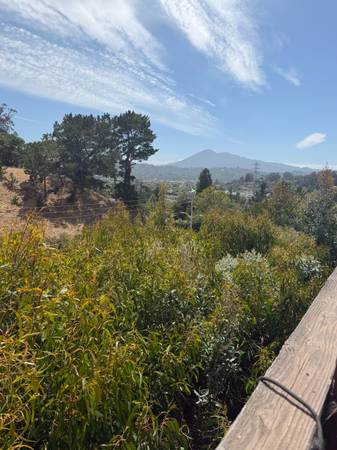 2BR/2BA Apartment · San Rafael photo 3
