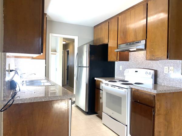 Vineyard Apartments photo 5
