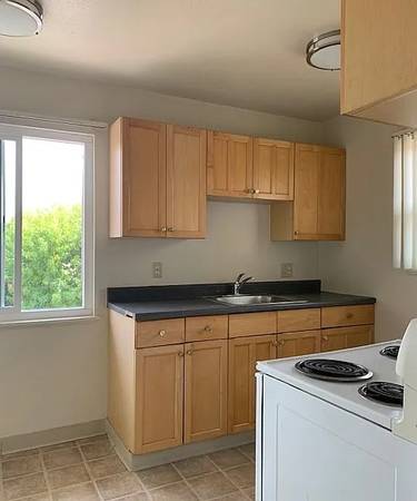Viking Apartments photo 5
