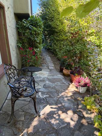 1BR/1BA Apartment on Buena Vista Ave · Mill Valley photo 2