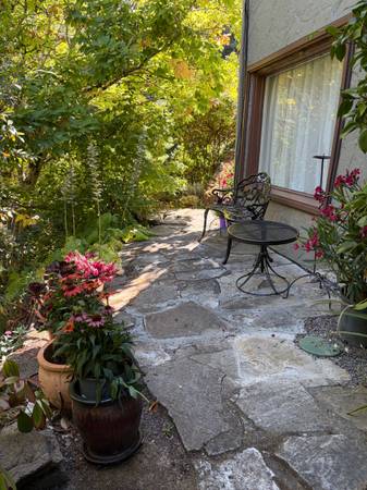 1BR/1BA Apartment on Buena Vista Ave · Mill Valley photo 3
