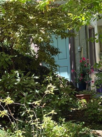 1BR/1BA Apartment on Buena Vista Ave · Mill Valley photo 4
