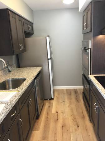 1BR/1BA Apartment · San Mateo photo 3