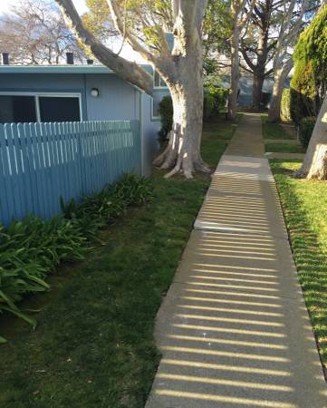 1BR/1BA Apartment · San Mateo photo 4