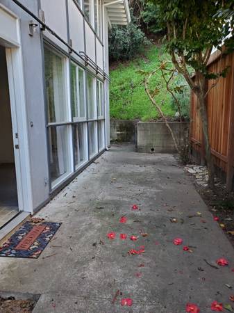 1BR/1BA Apartment · Mill Valley photo 2
