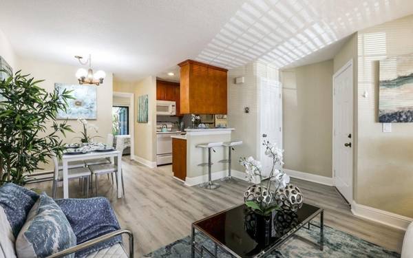 1BR/1BA Condo · San Jose photo 5