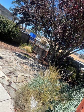 1BR/1BA Single Family House on Valley Ford Rd · Valley Ford photo 3