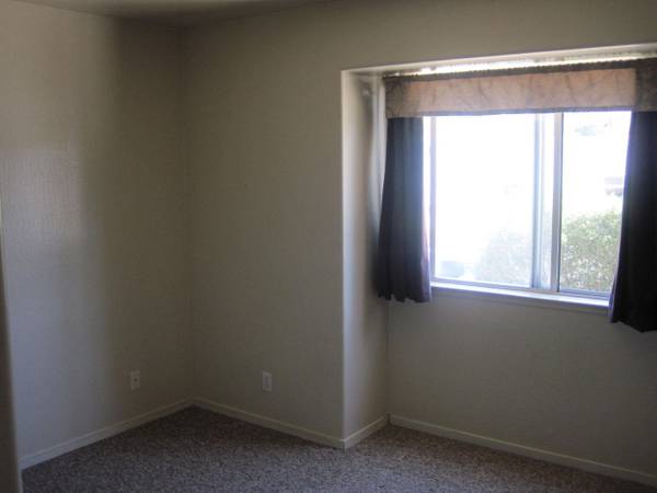 0BR/1BA Apartment on Fern Street · Santa Cruz photo 5