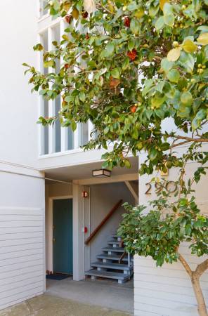 1BR/1BA Apartment · Berkeley photo 2